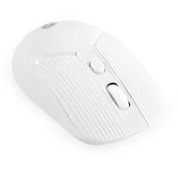 Мышь Oklick 509MW (белый) фото 6